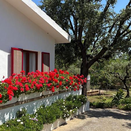 Finca Sa Cova De Mallorca Sencelles Eksteriør billede