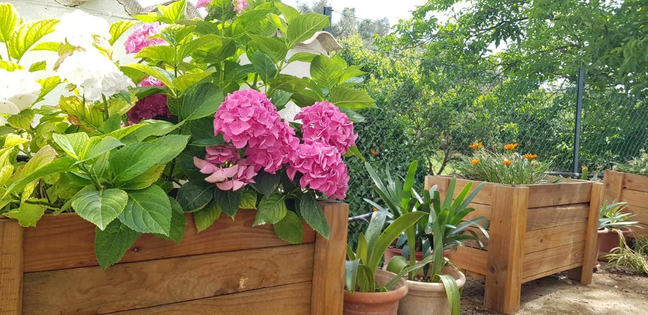 Finca Sa Cova De Mallorca Sencelles Eksteriør billede