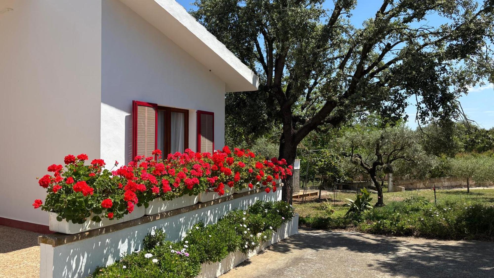 Finca Sa Cova De Mallorca Sencelles Eksteriør billede