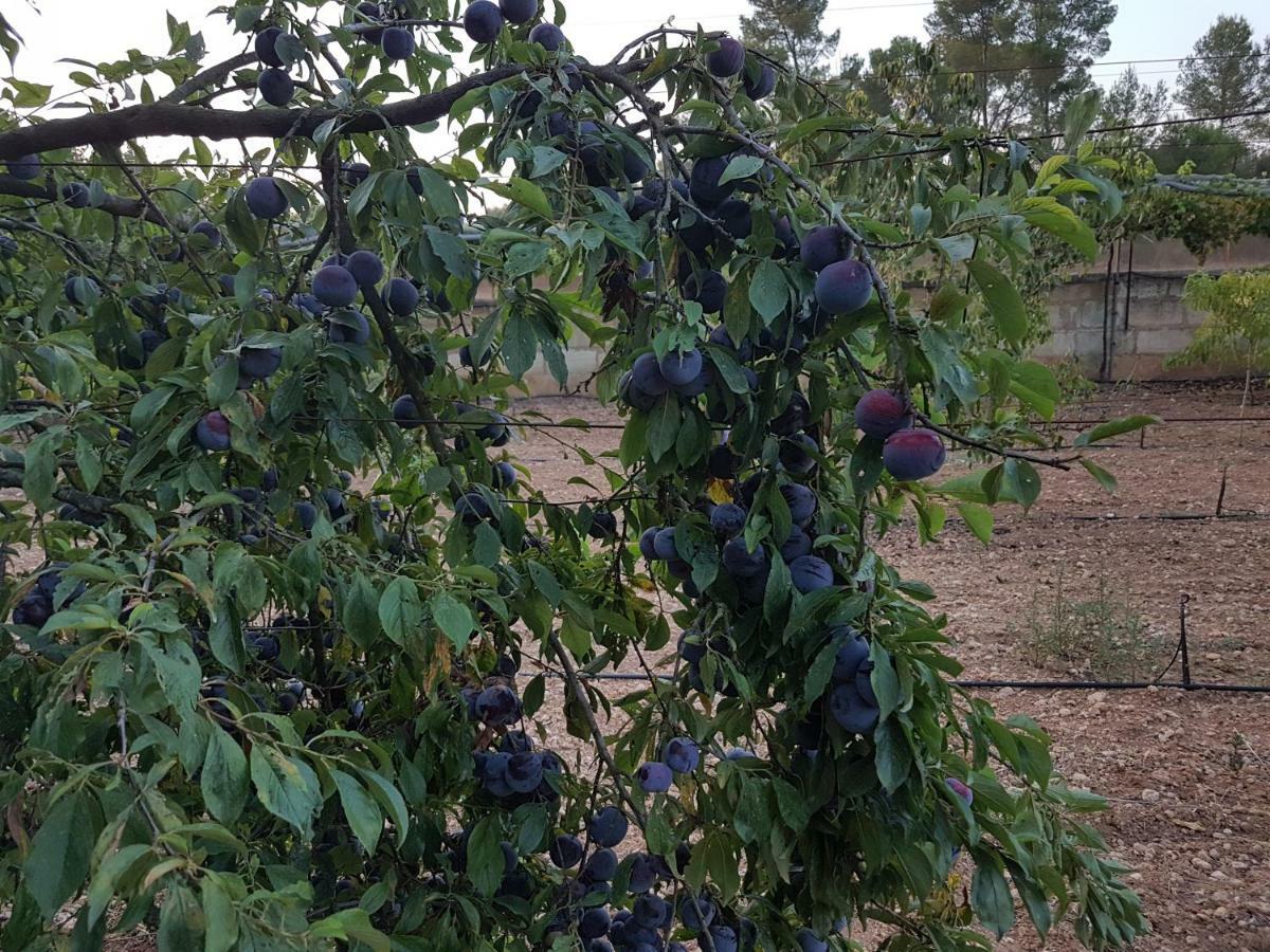 Finca Sa Cova De Mallorca Sencelles Eksteriør billede