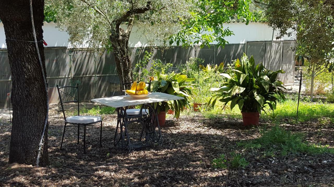 Finca Sa Cova De Mallorca Sencelles Eksteriør billede