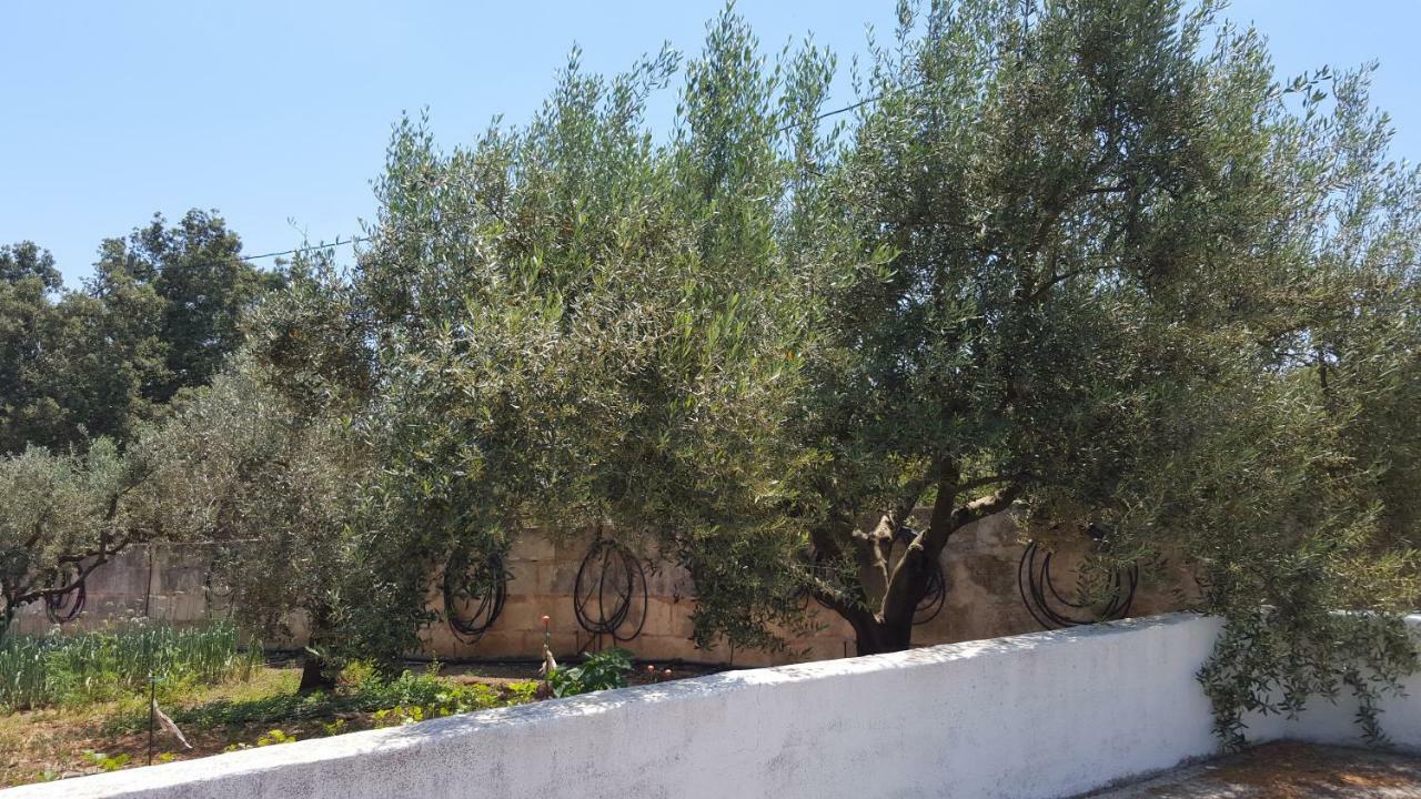 Finca Sa Cova De Mallorca Sencelles Eksteriør billede