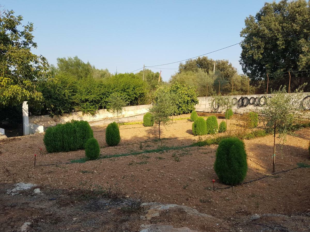 Finca Sa Cova De Mallorca Sencelles Eksteriør billede