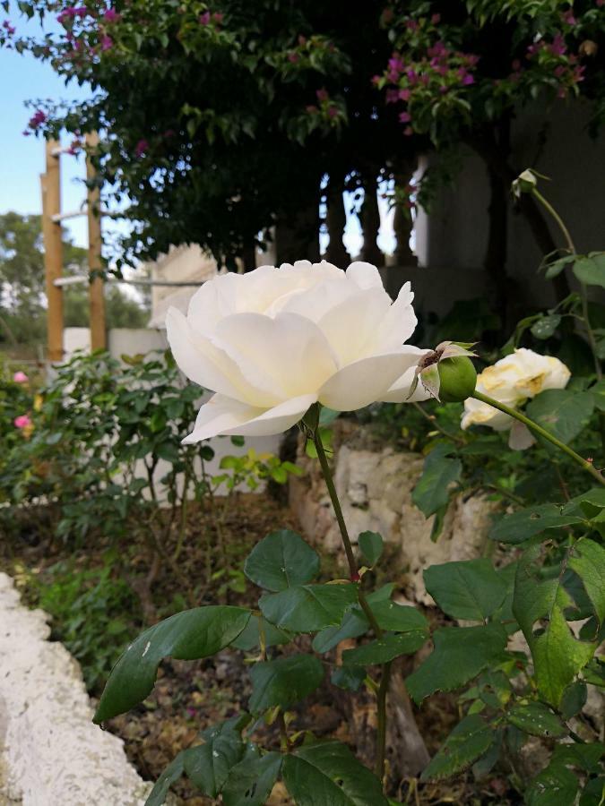 Finca Sa Cova De Mallorca Sencelles Eksteriør billede