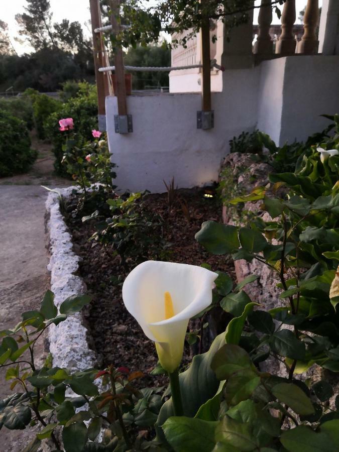 Finca Sa Cova De Mallorca Sencelles Eksteriør billede