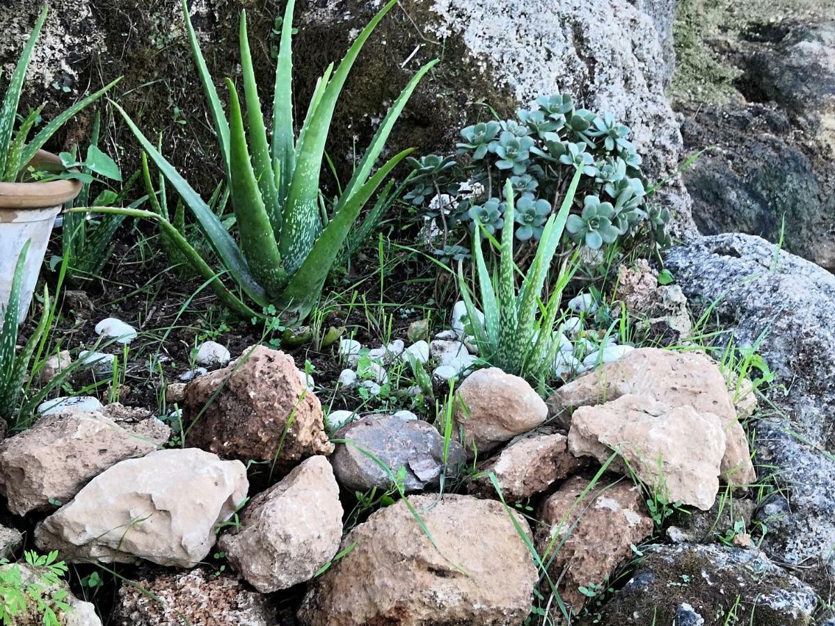 Finca Sa Cova De Mallorca Sencelles Eksteriør billede
