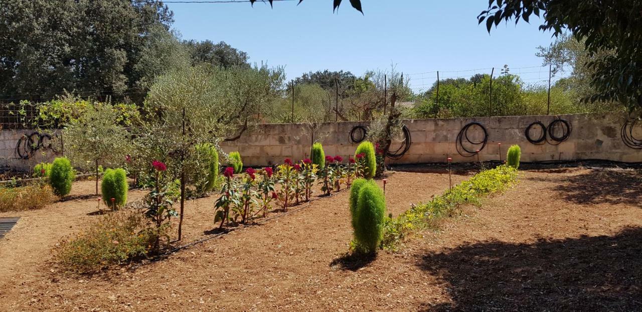 Finca Sa Cova De Mallorca Sencelles Eksteriør billede